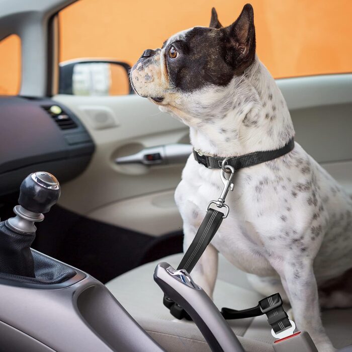 Dog Seat Belts for Cars UK, Pack of 2 - Image 5