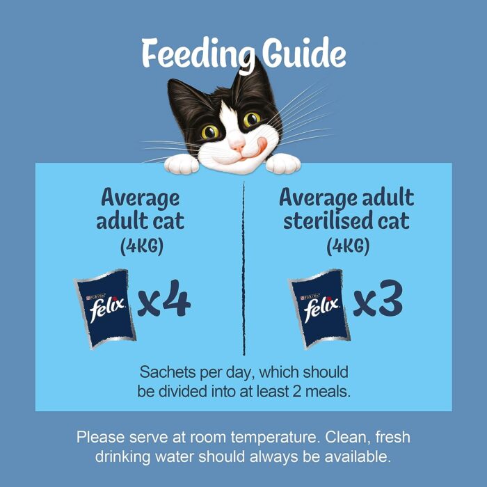 Felix Original Mixed Selection In Jelly Cat Food, 100 g (Pack of 40) - Image 4