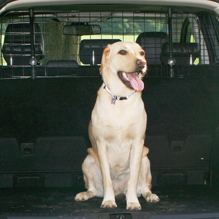 Sakura Headrest Dog Guard For Cars - Image 2