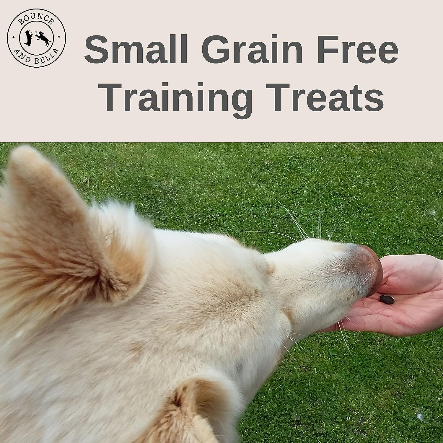 Bounce and Bella Grain Free Dog Training Treats Pets Play Store