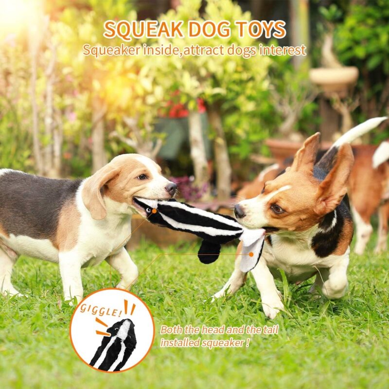 Squeak Dog Toys