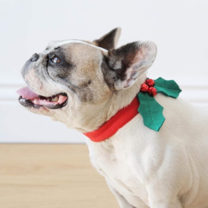 Talking Tables Christmas Dress Up Dog Collar Pet Accessory with Holly Leaf Design